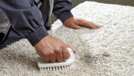 Professional Rug Cleaning Tuerong